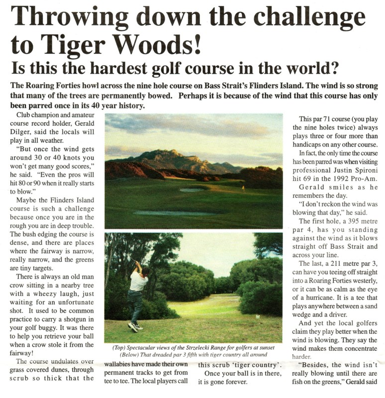 A Local Government Focus article